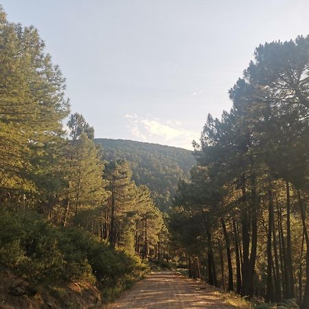 Bonita Casa En El Bosque - El Tiemblo Villa Eksteriør billede