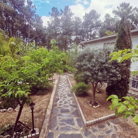 Bonita Casa En El Bosque - El Tiemblo Villa Eksteriør billede