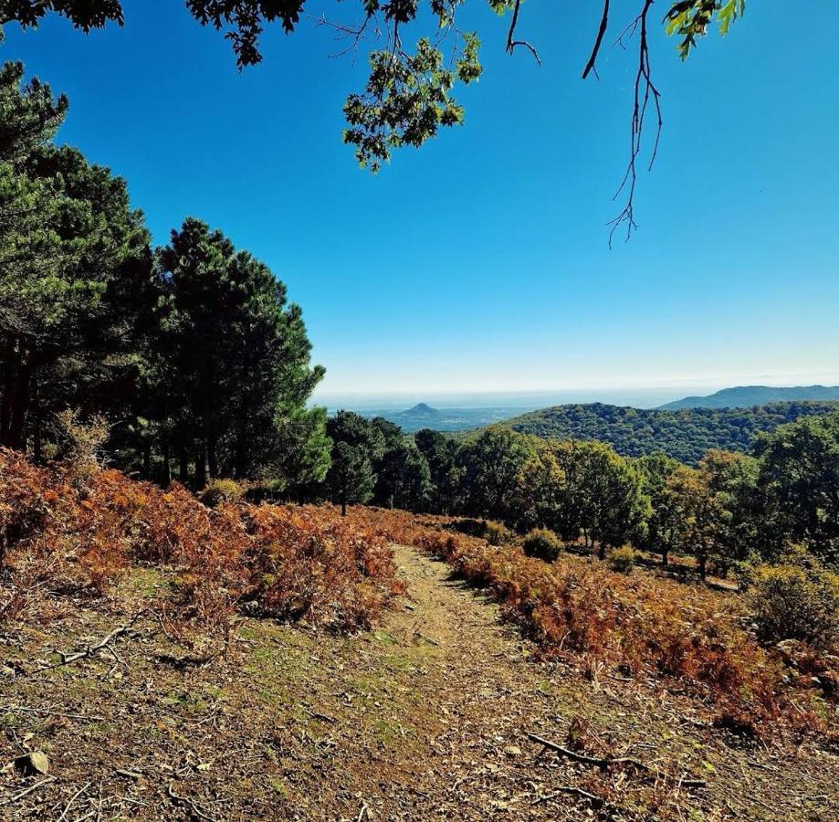 Bonita Casa En El Bosque - El Tiemblo Villa Eksteriør billede