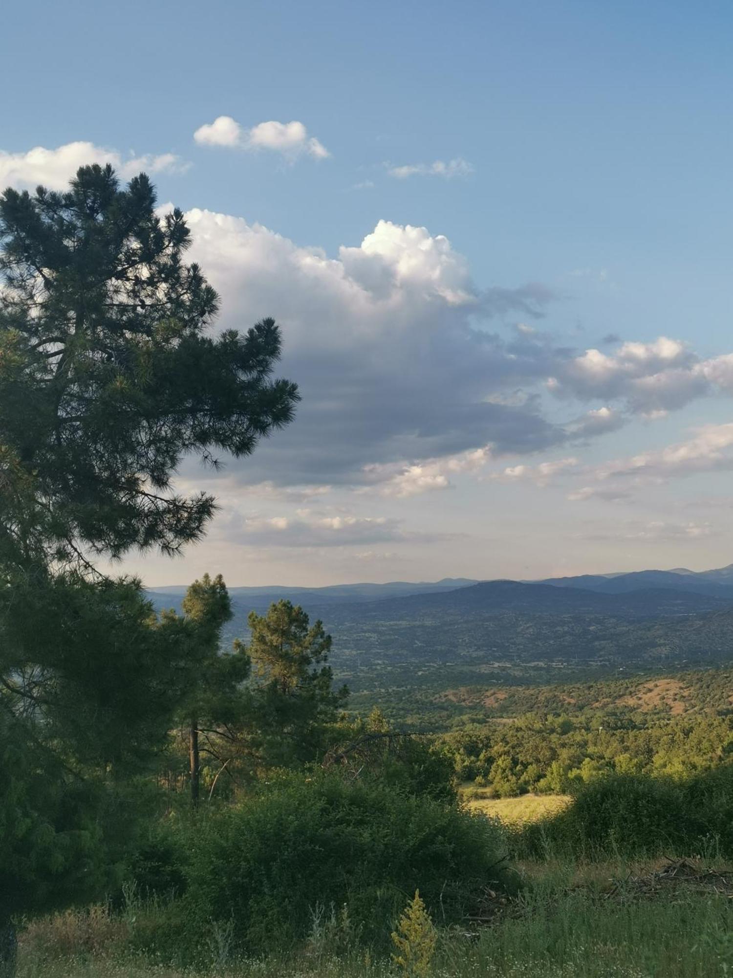 Bonita Casa En El Bosque - El Tiemblo Villa Eksteriør billede