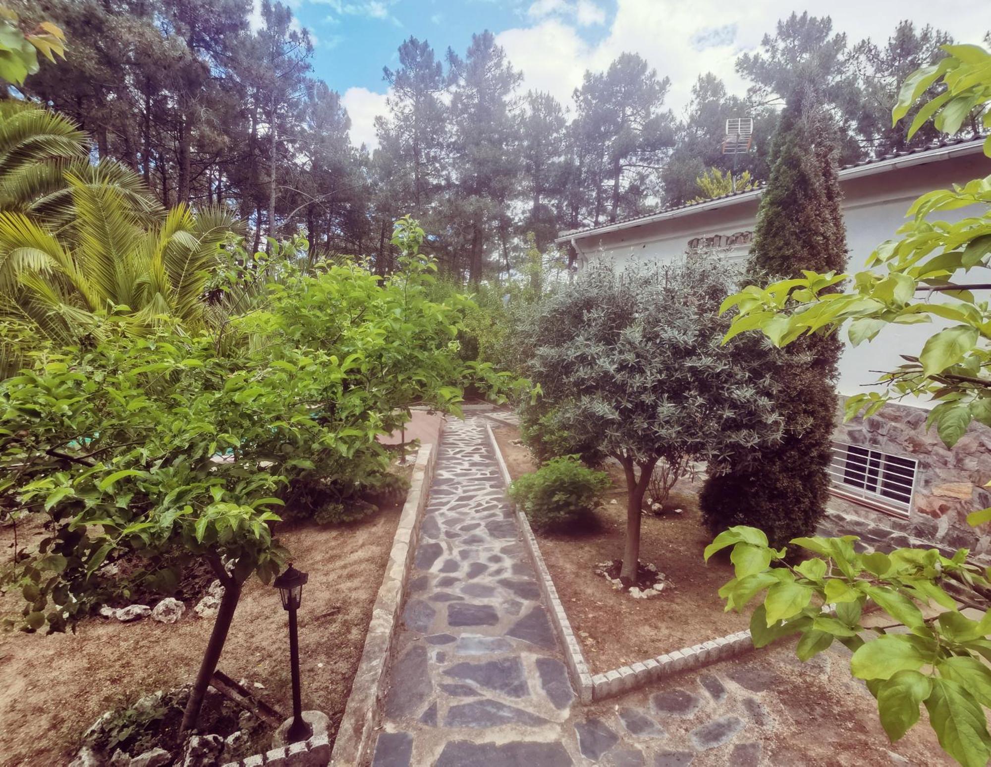 Bonita Casa En El Bosque - El Tiemblo Villa Eksteriør billede